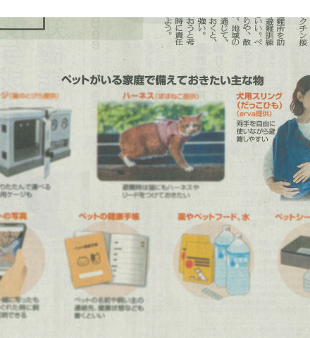 media_6