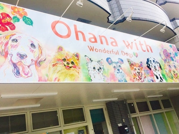 取扱店舗|オハナウィズ