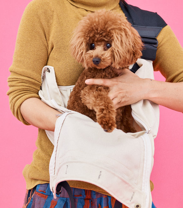 マルチ・ドッグスリングはフロント部分がガバッと開くので、足に不安があるわんこでも安心してお使いいただけます。