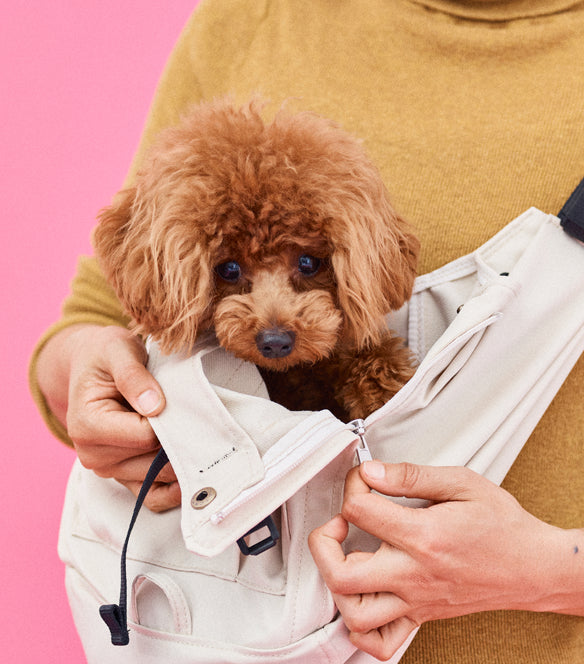 マルチ・ドッグスリングは、ファスナーを開閉すれば深さ調節が可能。小型犬も埋もれません。