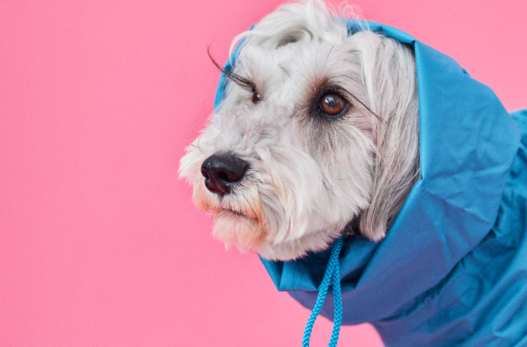 頭まですっぽり被せられるスヌード付きのレインカバー