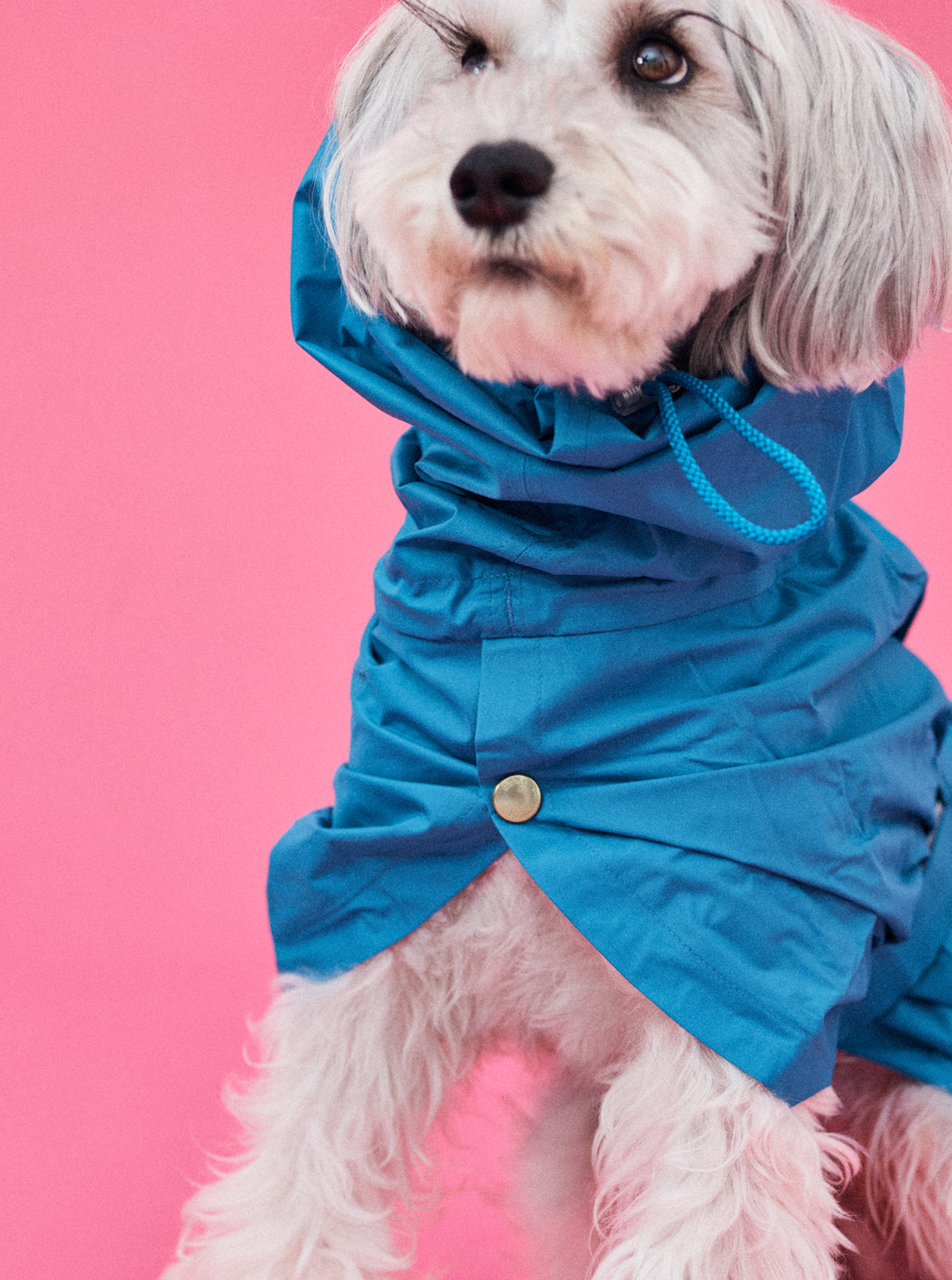 Mシュナ 7.8kg |ダックブルー Mサイズ