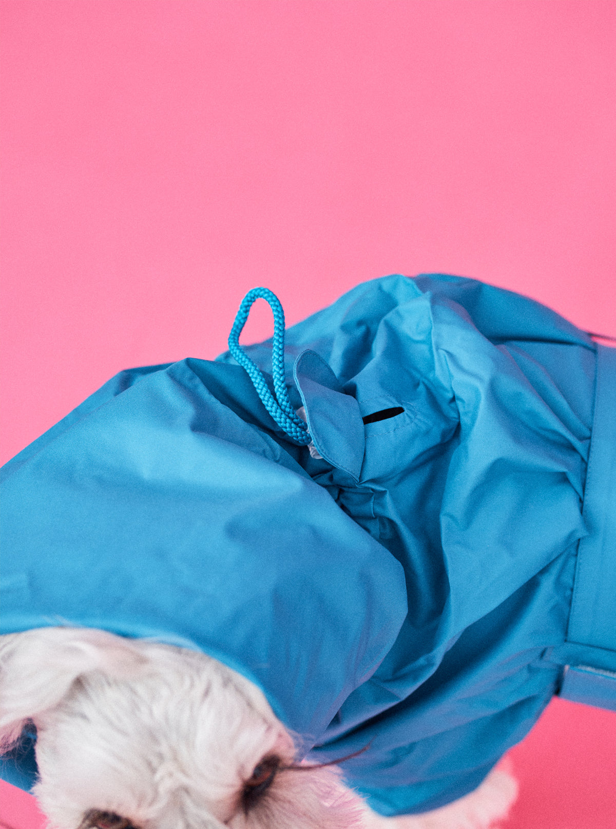 Mシュナ 7.8kg |ダックブルー Mサイズ