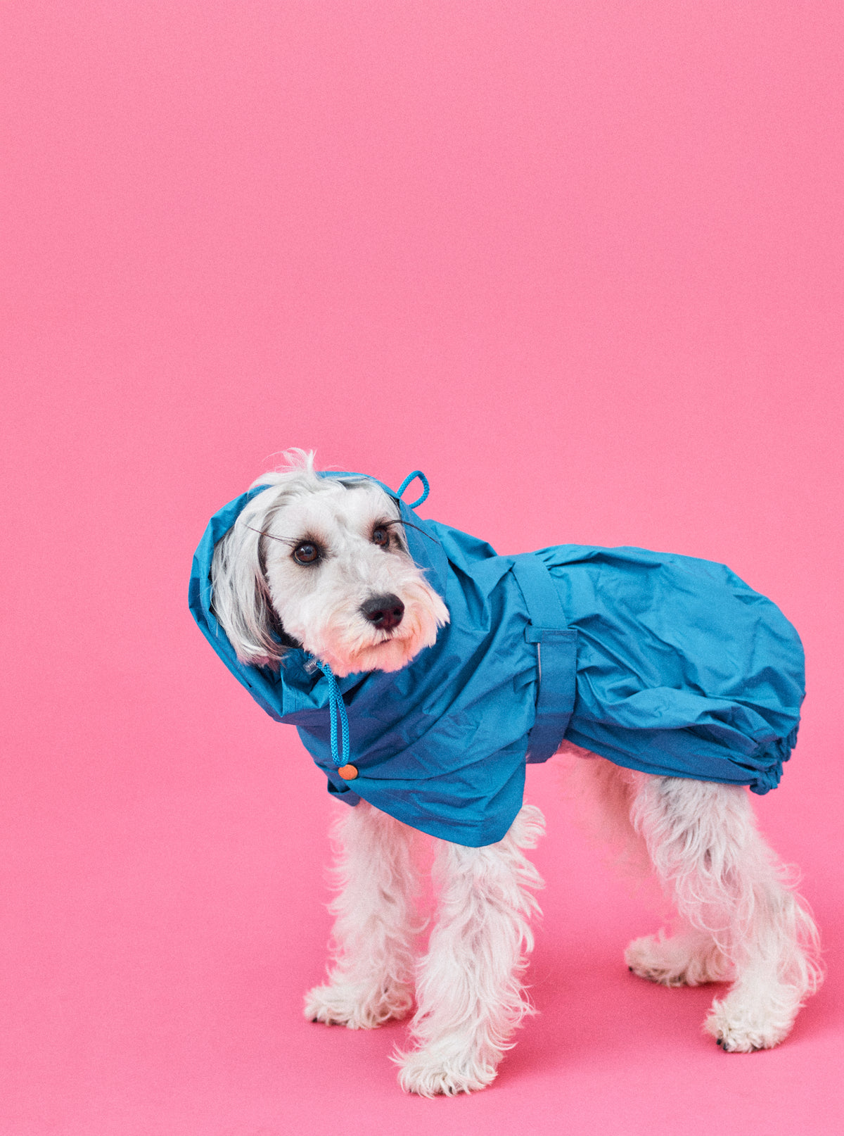 Mシュナ 7.8kg |ダックブルー Mサイズ