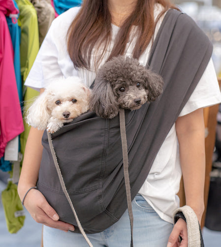 トイプードル ミルクちゃん/ココアちゃん