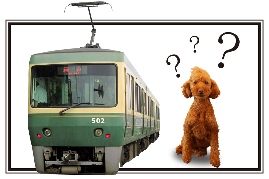 愛犬と電車に乗ってもいいの？