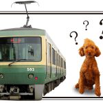 電車に犬を乗せれるの？