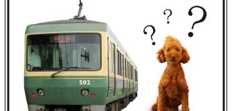 電車に犬を乗せれるの？