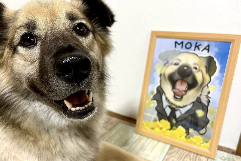 いい笑顔の元保護犬モカちゃん