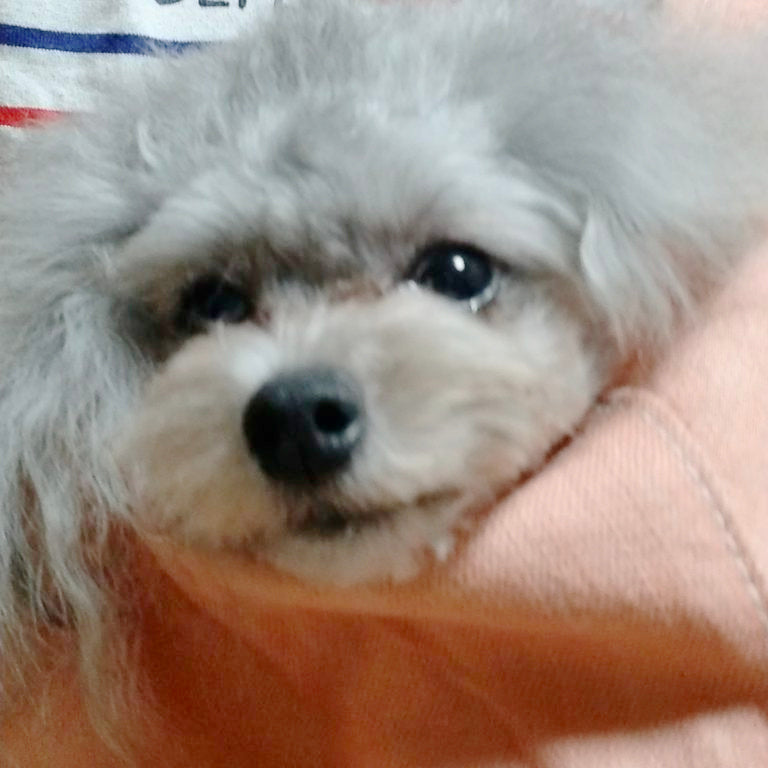 安心してリラックスしてくれます