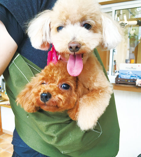 自転車も太ももが当たらず走りやすいです。