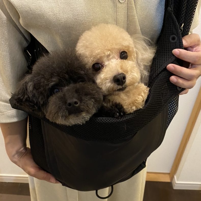 サイズ違いの夫とも共有出来る