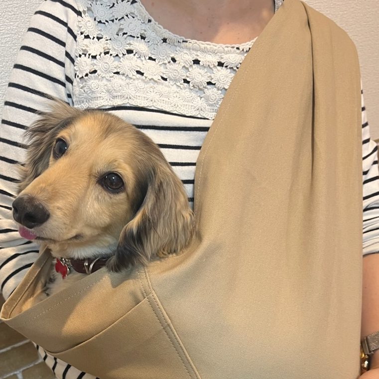 リュックやクレートよりお手軽