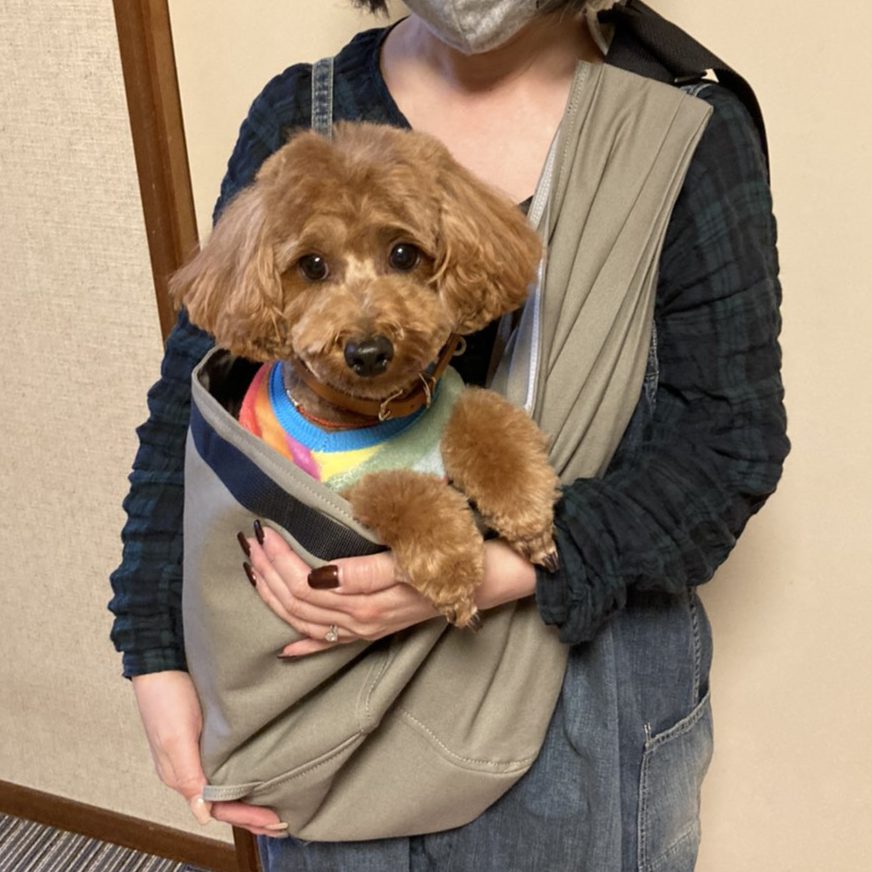 とても楽みたいです