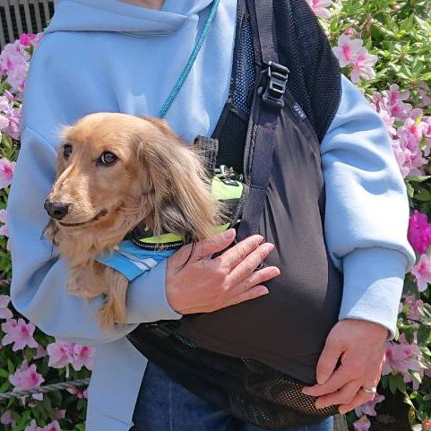 まんざらでもないのか気持ち良さそう