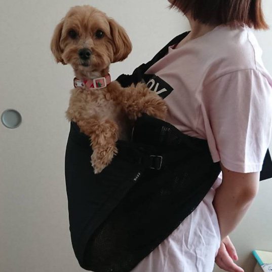 犬の出し入れがしやすい