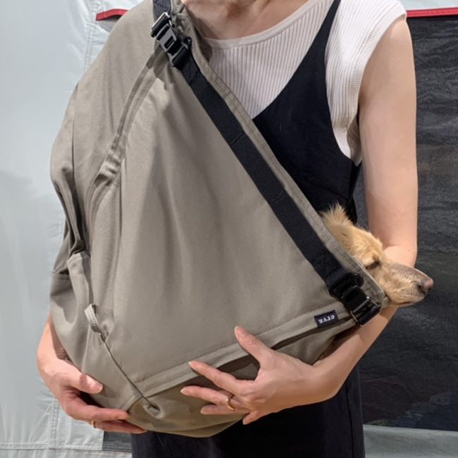 人も犬も安心感があります