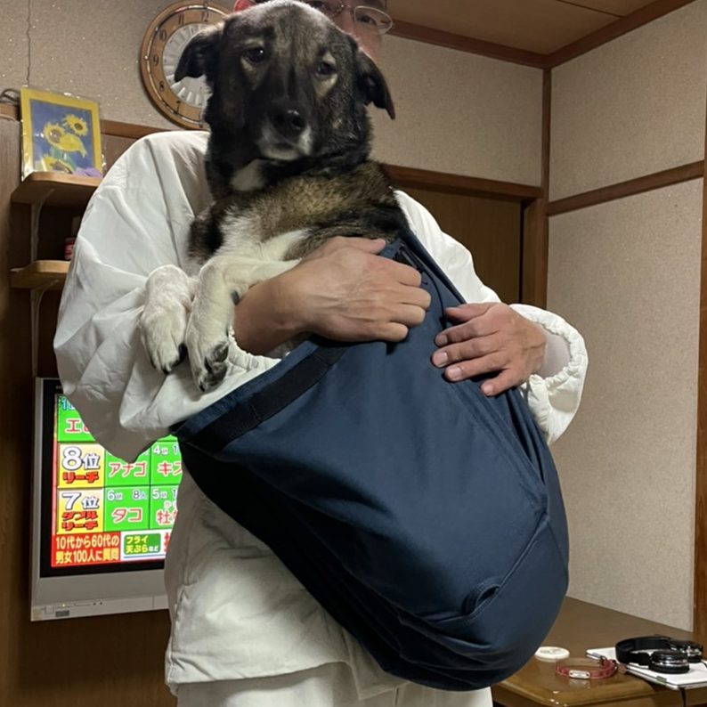 スリングをセットすると乗ってきてくれる
