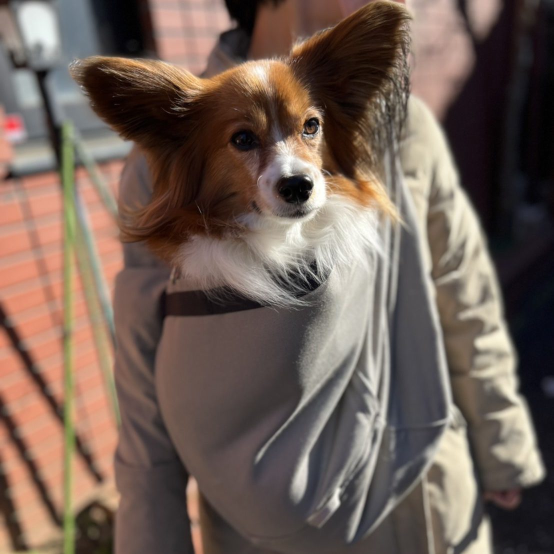 お値段がお高いのでずいぶん悩みました