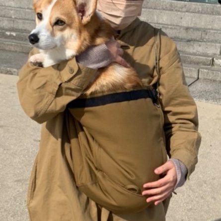 安定していて使いやすい