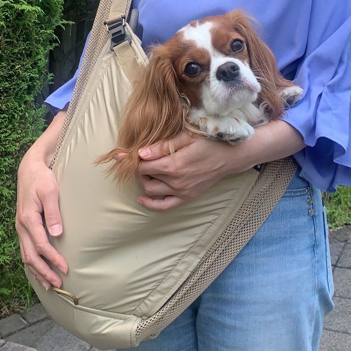 スリングを見ると飛びついてきますし、中に入るとすぐ寝ます…笑