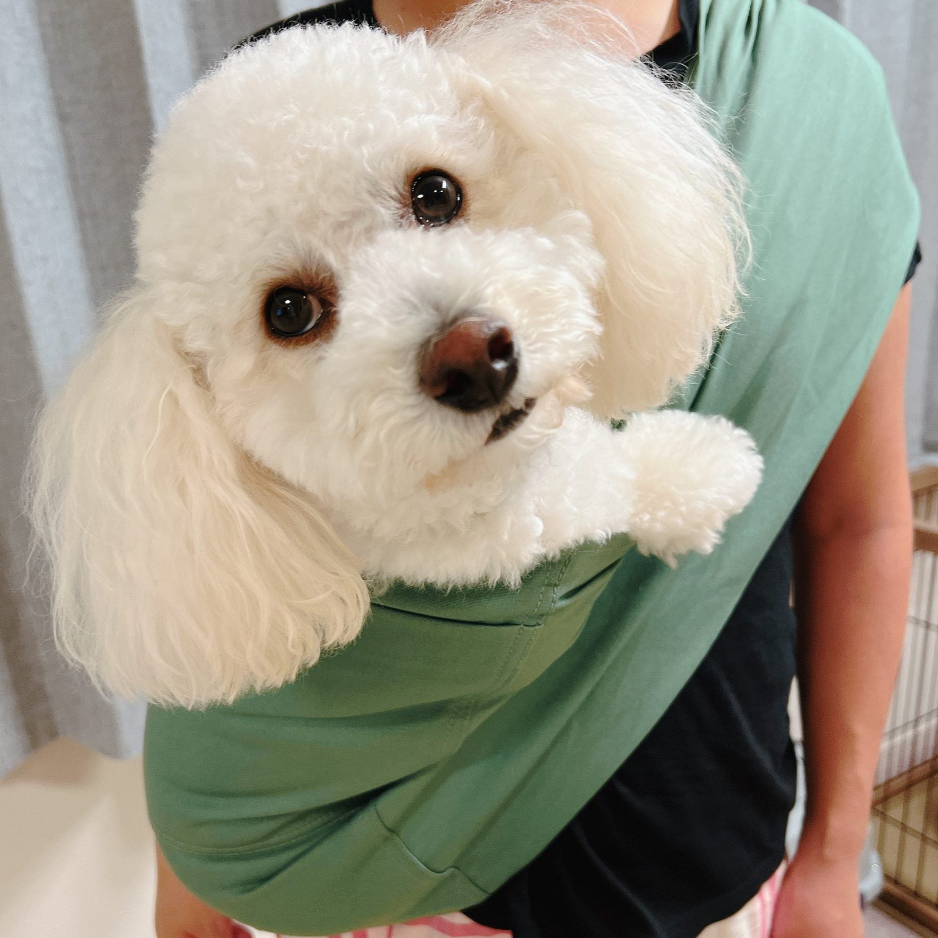 愛犬もすごく落ち着いていました！