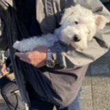もっと早くエルバに出会いたかった