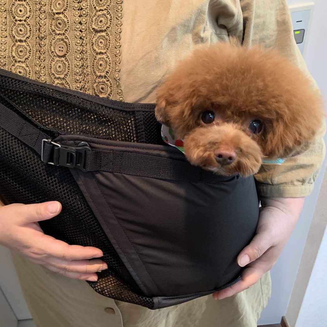 とても安定感がある