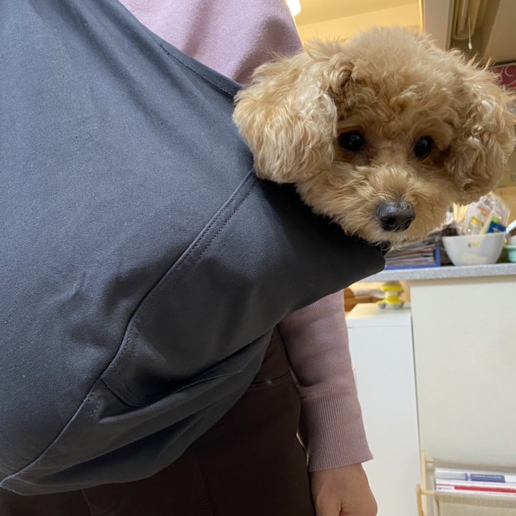 暫くすると寝そうになっていました