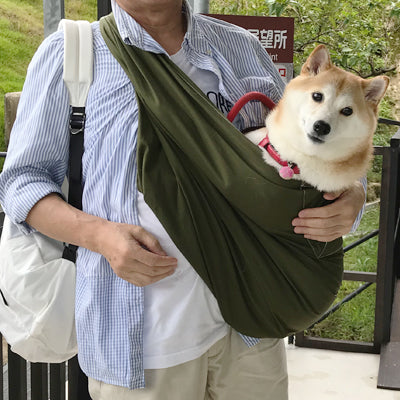 犬も安心して楽しそう
