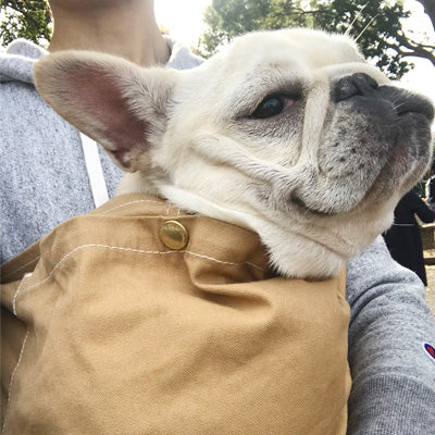 スリングをみせると大興奮