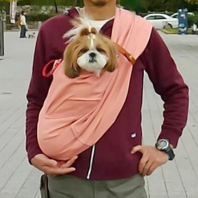 犬もとても落ち着いて気持ちよさそう