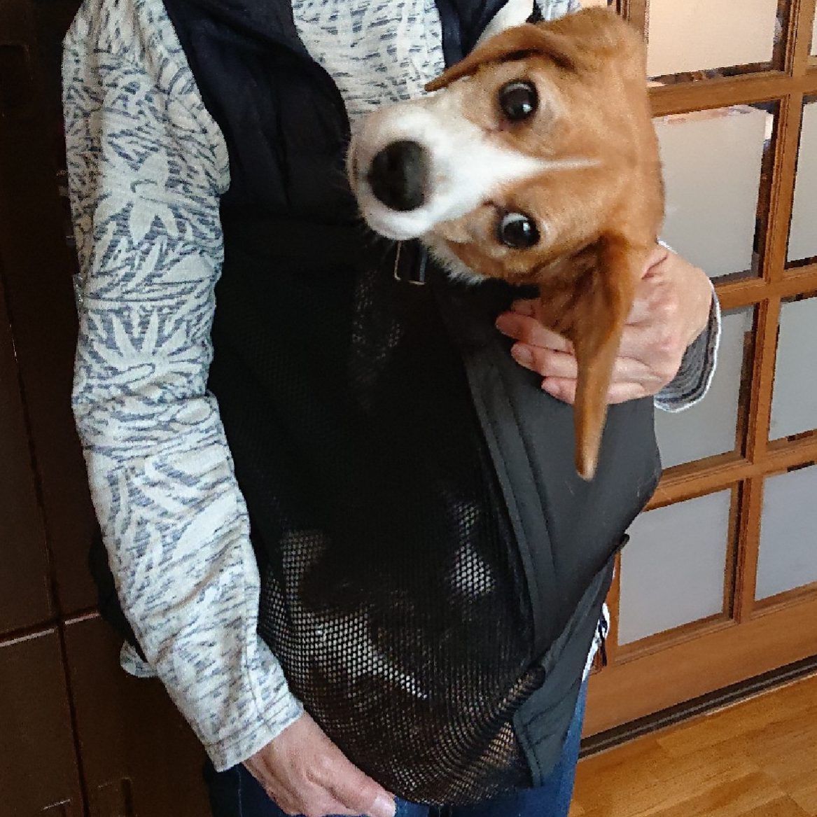 軽いし、夏場のムレを気にしなくていい