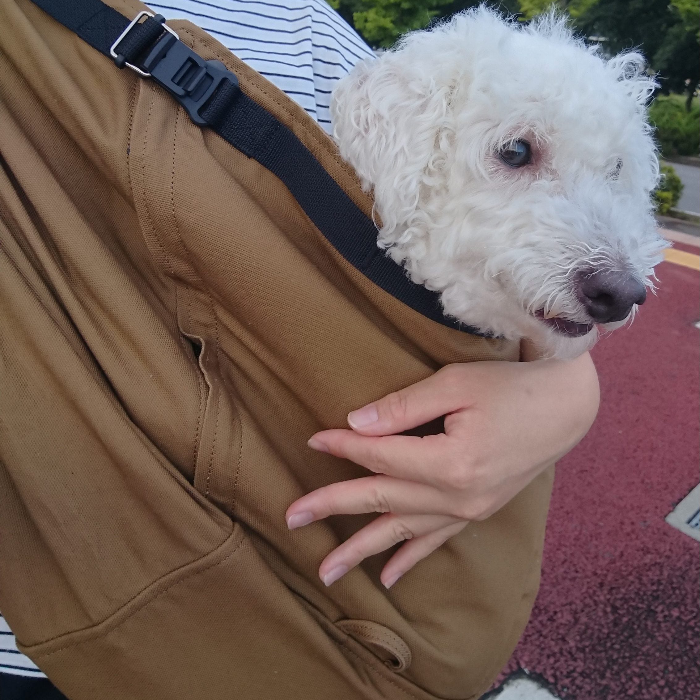 こんなに安心して使いやすいスリングがあったんだ！