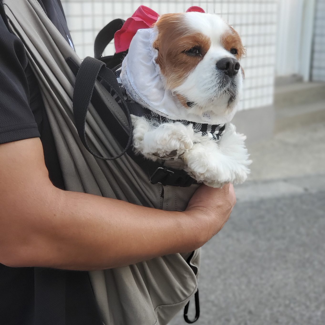 体格の違う主人にもバッチリフィット