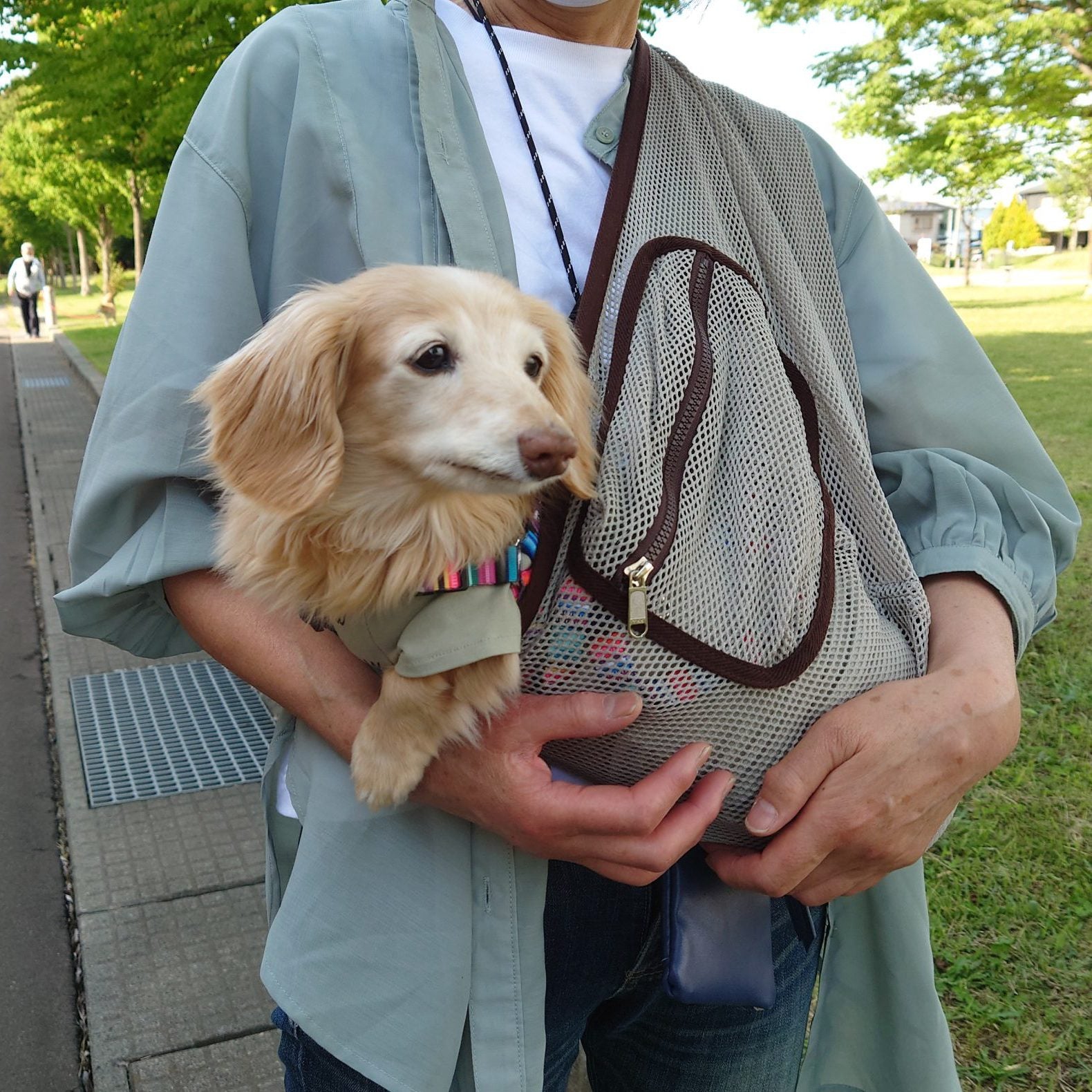 通気性が良く、軽いため愛犬も快適