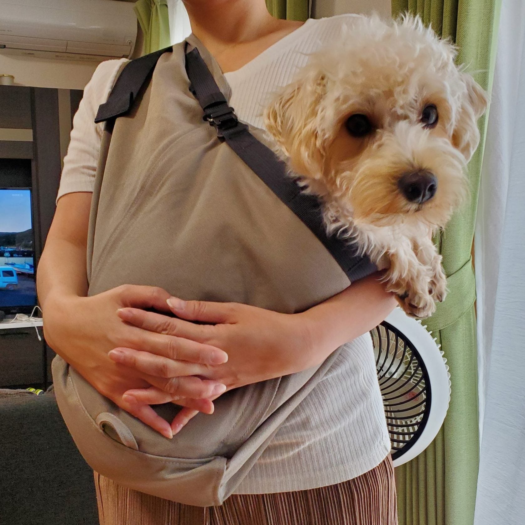 愛犬が全く嫌がらなかった