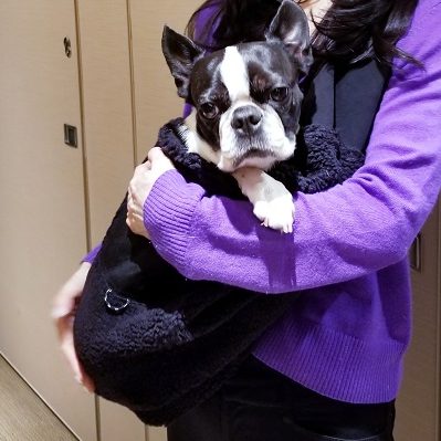 2匹の愛犬の移動も楽で持ち運びにもコンパクト