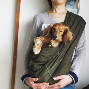 スリングを出すと、しっぽをぶんぶん振ります！