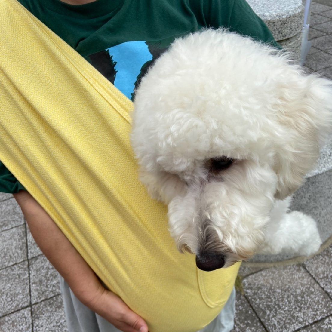 とても楽に移動できる