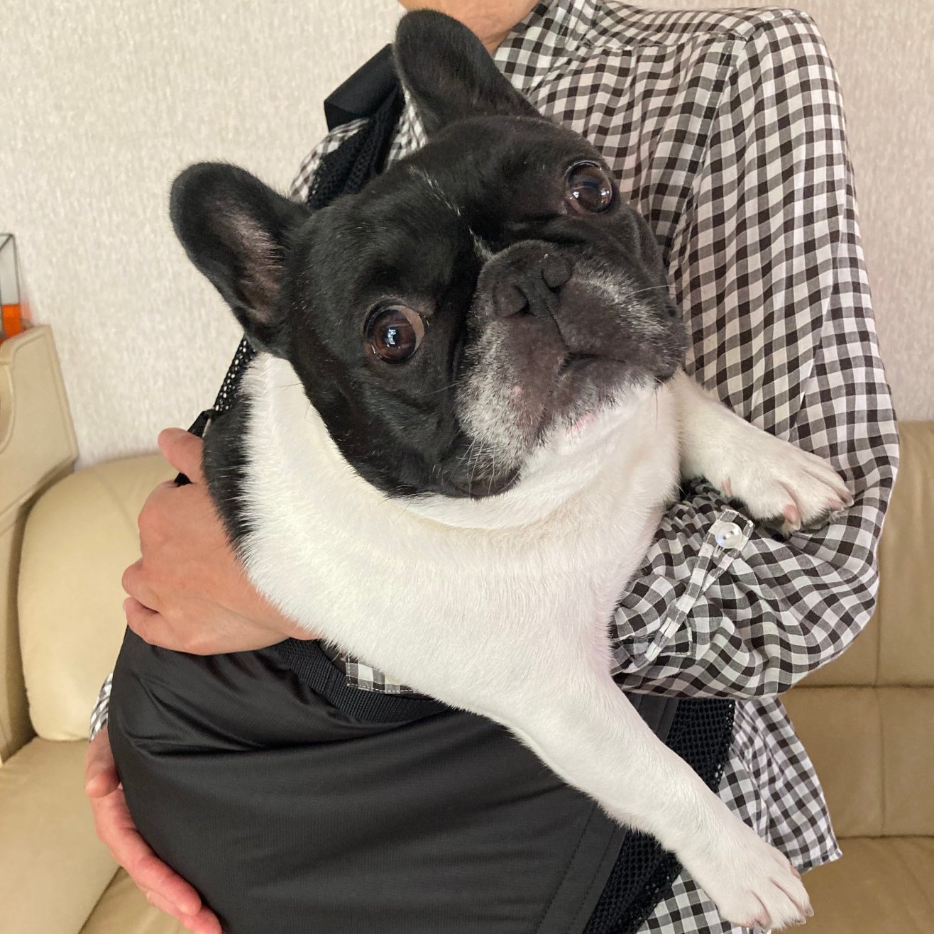 使うたびに、優れたデザインに感動