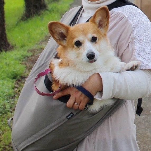 最初はカートを使っていましたが
