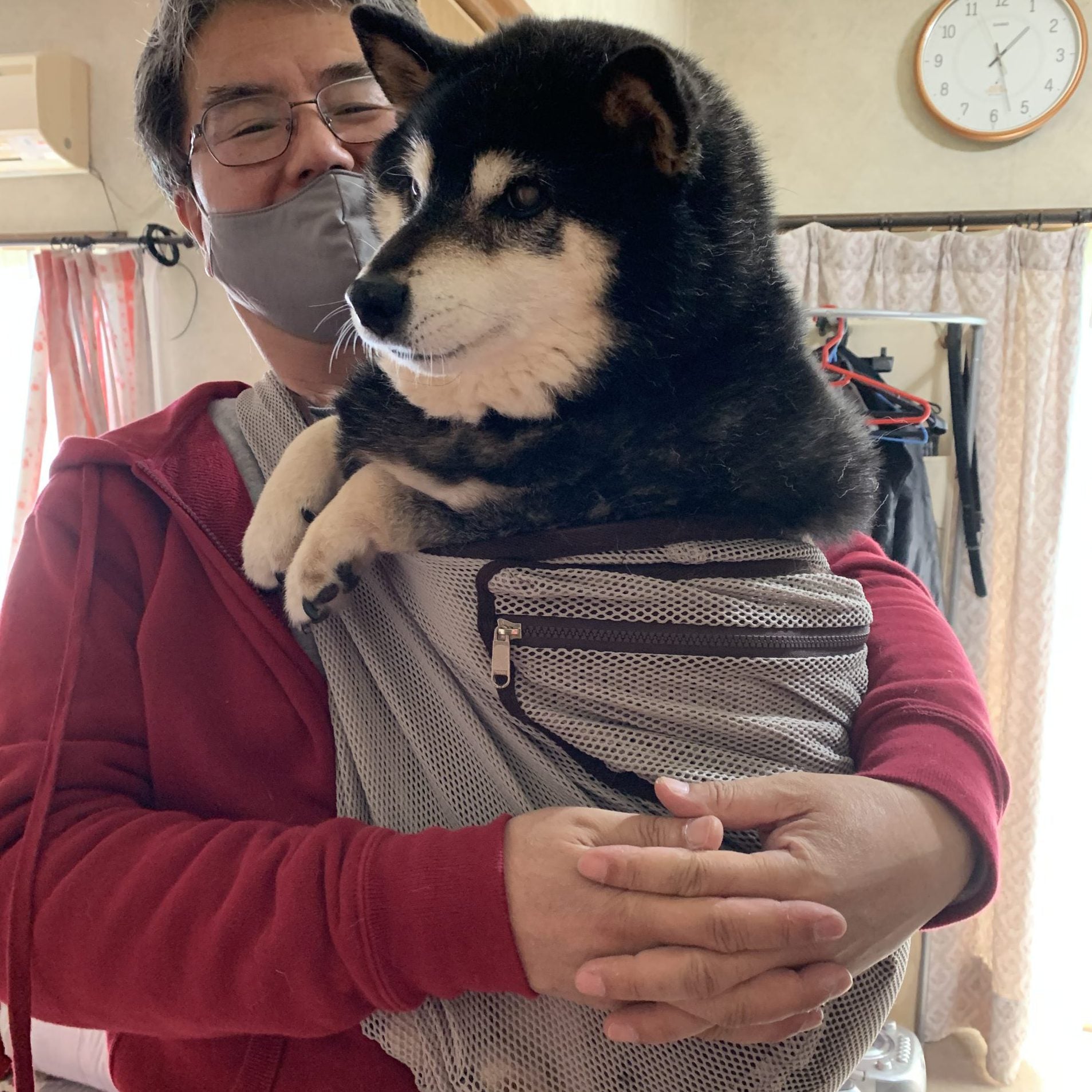 夏のお出かけに活躍しそう