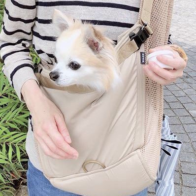愛犬も居心地良さそう