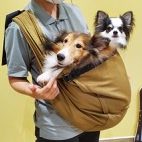 中型犬でも使えるスリング