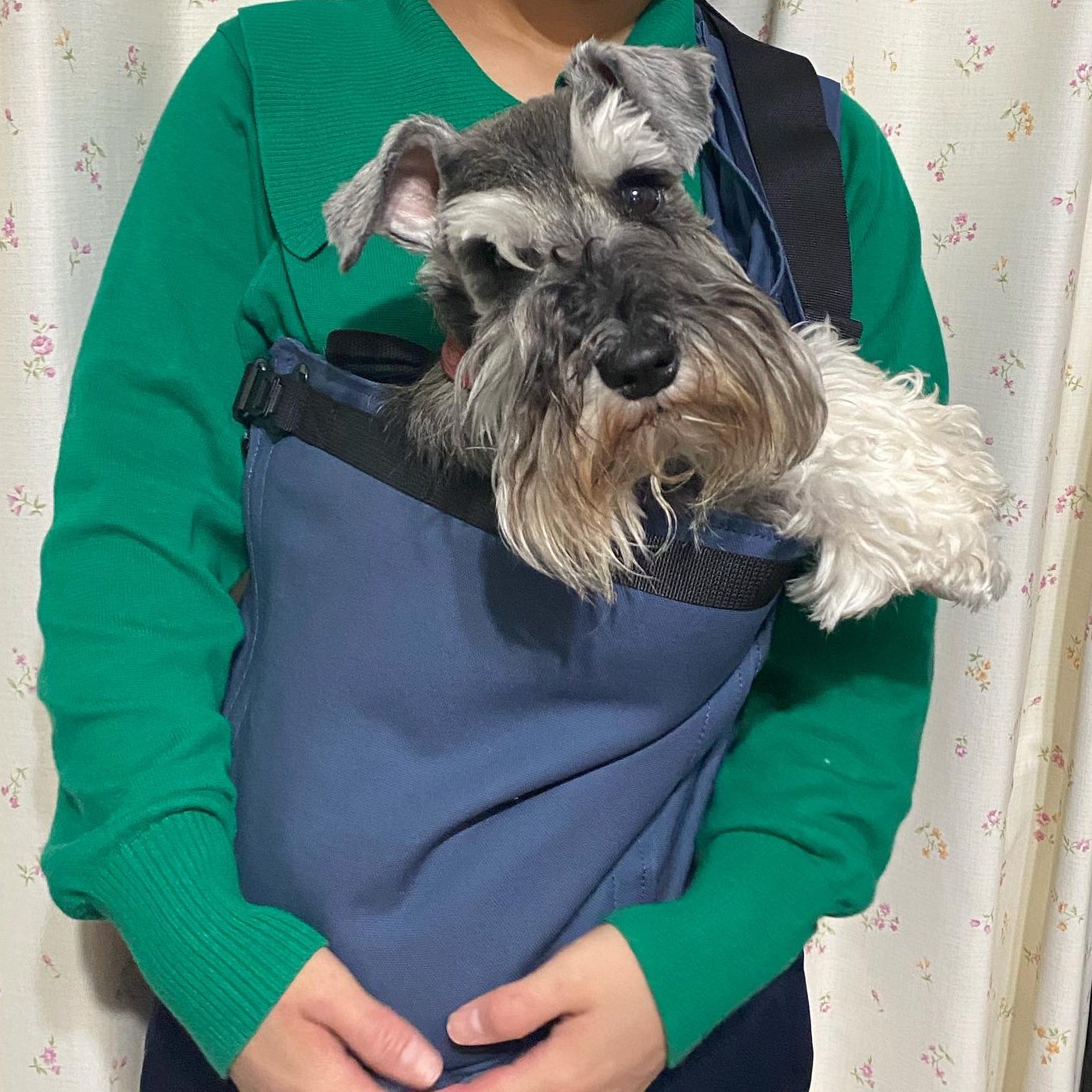 愛犬とのこれからを考え思い切って購入！