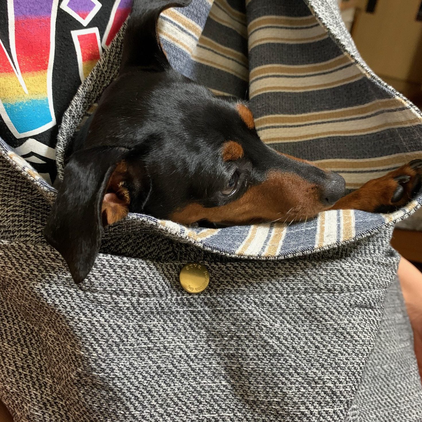 本当に購入して良かった