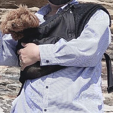メッシュタイプなので犬も飼い主も暑くなりすぎずとても気に入りました。