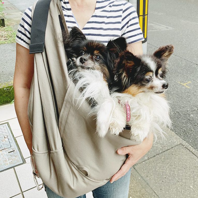 前が開くので楽に２匹を入れることができています