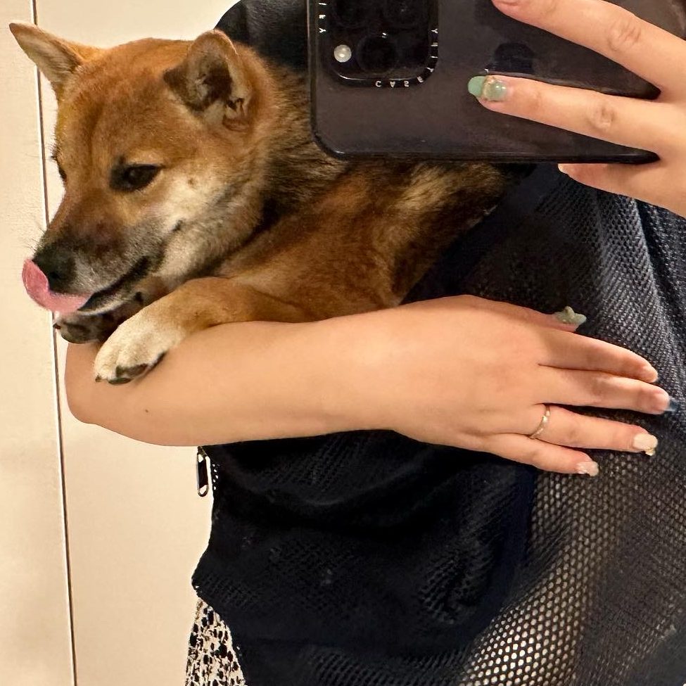 大人しく入ってくれた